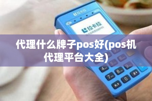 代理什么牌子pos好(pos机代理平台大全)