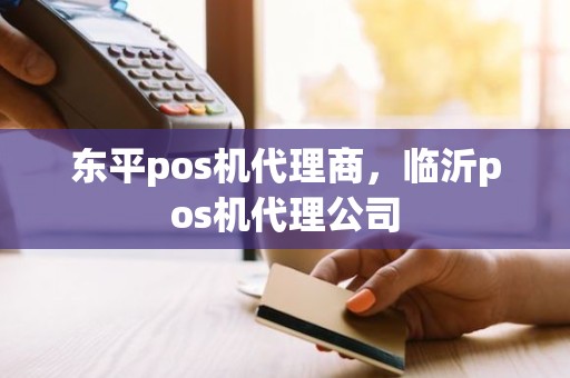 东平pos机代理商，临沂pos机代理公司