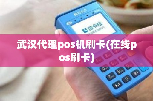 武汉代理pos机刷卡(在线pos刷卡)