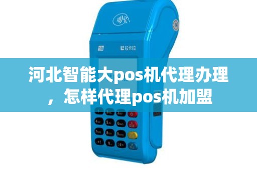 河北智能大pos机代理办理，怎样代理pos机加盟