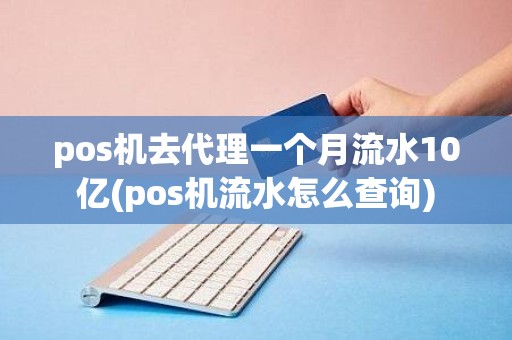 pos机去代理一个月流水10亿(pos机流水怎么查询)