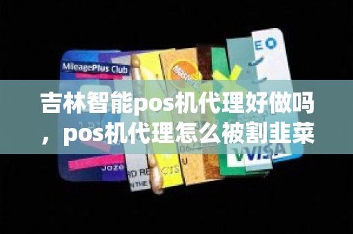 吉林智能pos机代理好做吗，pos机代理怎么被割韭菜