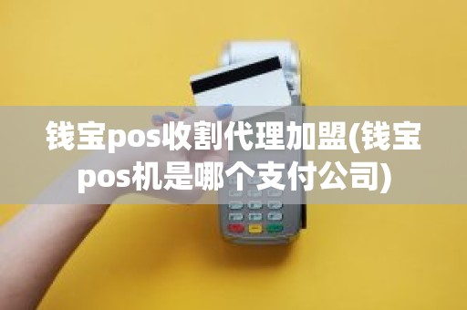 钱宝pos收割代理加盟(钱宝pos机是哪个支付公司)