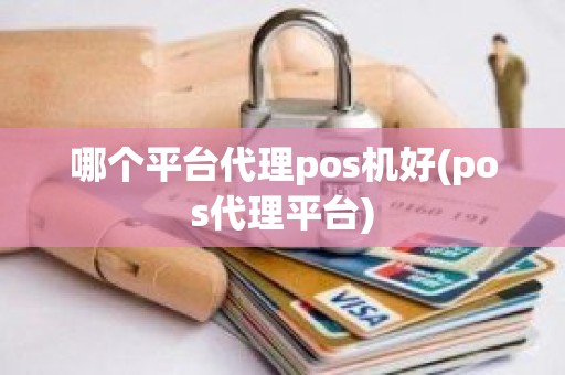 哪个平台代理pos机好(pos代理平台)