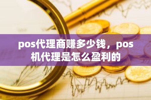 pos代理商赚多少钱，pos机代理是怎么盈利的