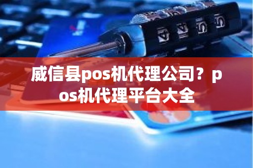 威信县pos机代理公司？pos机代理平台大全