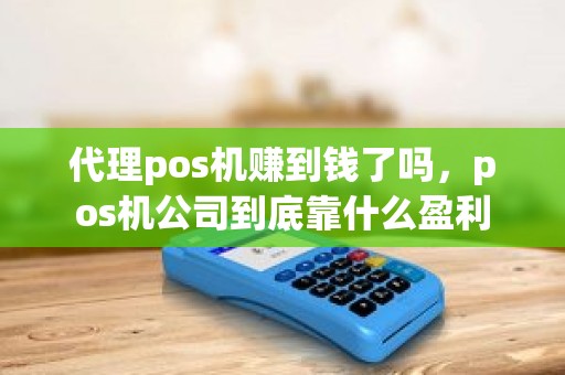 代理pos机赚到钱了吗，pos机公司到底靠什么盈利