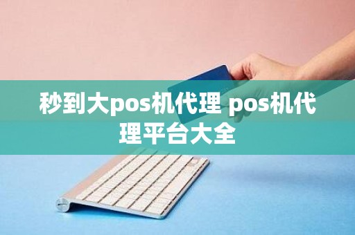 秒到大pos机代理 pos机代理平台大全