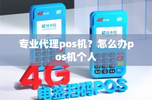 专业代理pos机？怎么办pos机个人