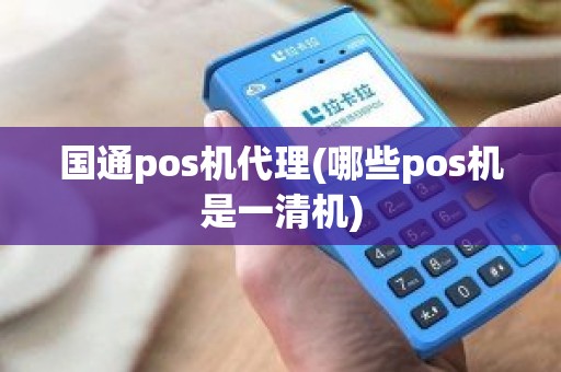 国通pos机代理(哪些pos机是一清机)