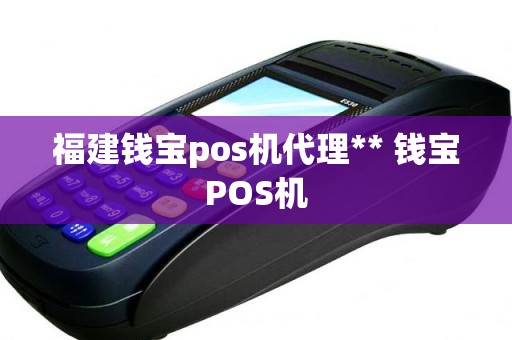 福建钱宝pos机代理** 钱宝POS机