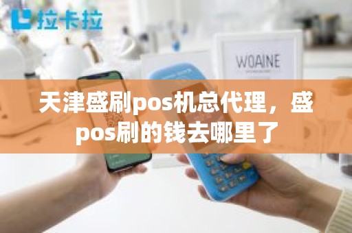 天津盛刷pos机总代理，盛pos刷的钱去哪里了