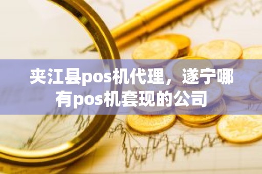 夹江县pos机代理，遂宁哪有pos机套现的公司