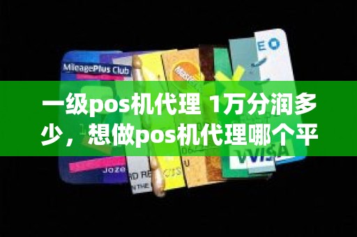 一级pos机代理 1万分润多少，想做pos机代理哪个平台好