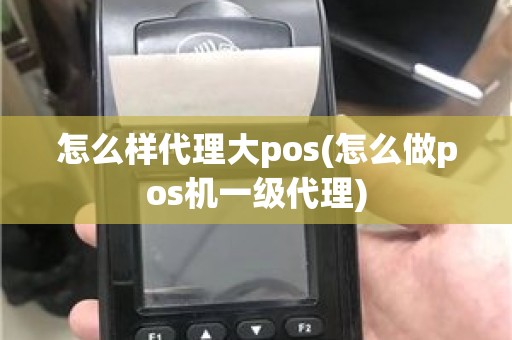 怎么样代理大pos(怎么做pos机一级代理)