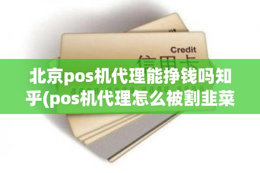 北京pos机代理能挣钱吗知乎(pos机代理怎么被割韭菜)