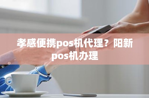 孝感便携pos机代理？阳新pos机办理