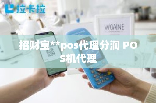 招财宝**pos代理分润 POS机代理