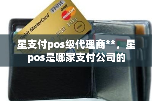 星支付pos级代理商**，星pos是哪家支付公司的