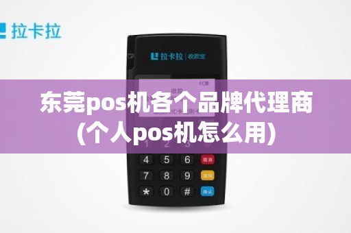 东莞pos机各个品牌代理商(个人pos机怎么用)