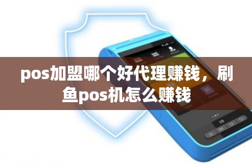 pos加盟哪个好代理赚钱，刷鱼pos机怎么赚钱