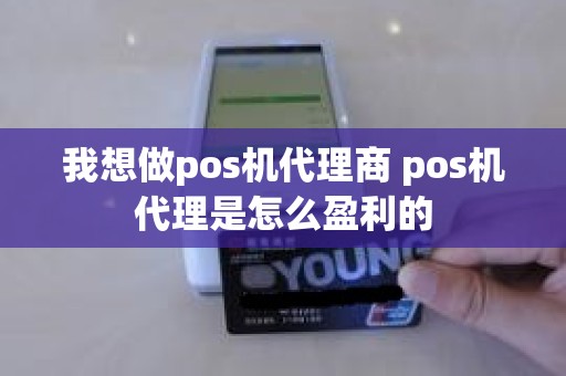 我想做pos机代理商 pos机代理是怎么盈利的