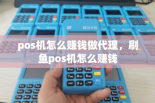 pos机怎么赚钱做代理，刷鱼pos机怎么赚钱