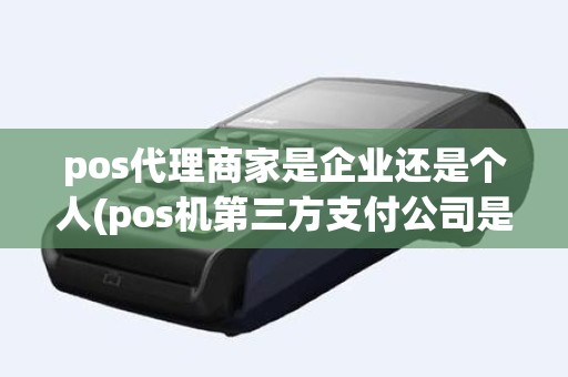 pos代理商家是企业还是个人(pos机第三方支付公司是什么意思)