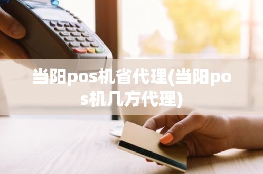 当阳pos机省代理(当阳pos机几方代理)