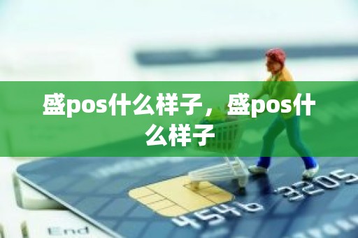 盛pos什么样子，盛pos什么样子