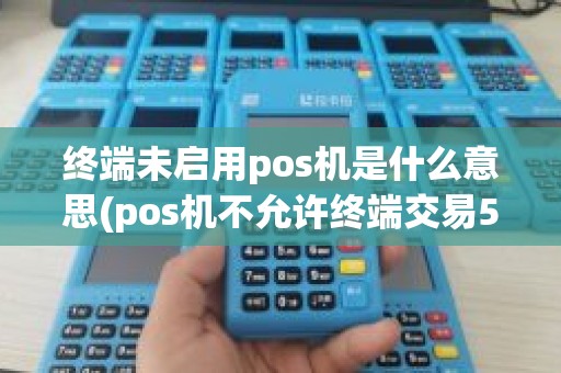 终端未启用pos机是什么意思(pos机不允许终端交易58)