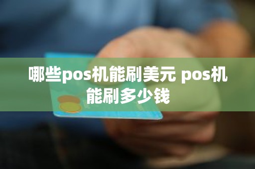 哪些pos机能刷美元 pos机能刷多少钱