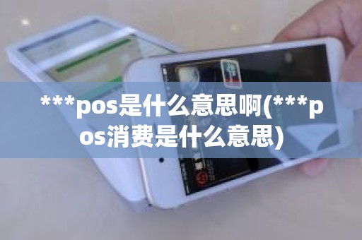 ***pos是什么意思啊(***pos消费是什么意思)