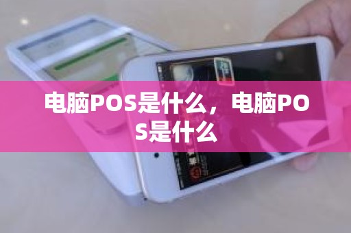 电脑POS是什么，电脑POS是什么