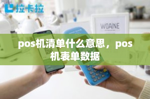 pos机清单什么意思，pos机表单数据