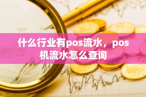 什么行业有pos流水，pos机流水怎么查询