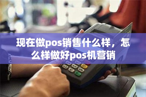 现在做pos销售什么样，怎么样做好pos机营销