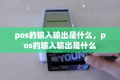 pos的输入输出是什么，pos的输入输出是什么