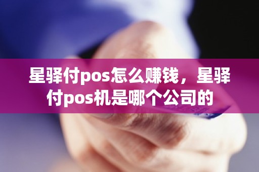 星驿付pos怎么赚钱，星驿付pos机是哪个公司的