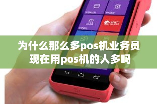 为什么那么多pos机业务员 现在用pos机的人多吗