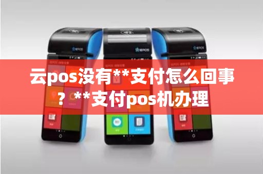 云pos没有**支付怎么回事？**支付pos机办理