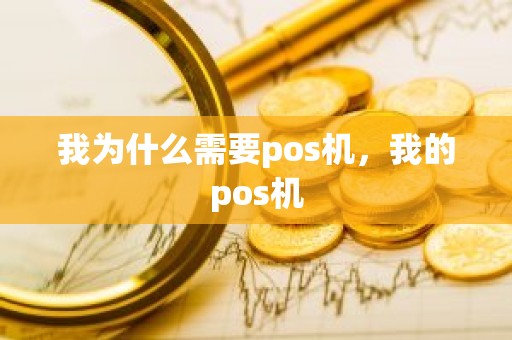 我为什么需要pos机，我的pos机