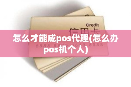 怎么才能成pos代理(怎么办pos机个人)