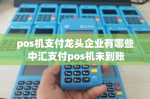 pos机支付龙头企业有哪些 中汇支付pos机未到账