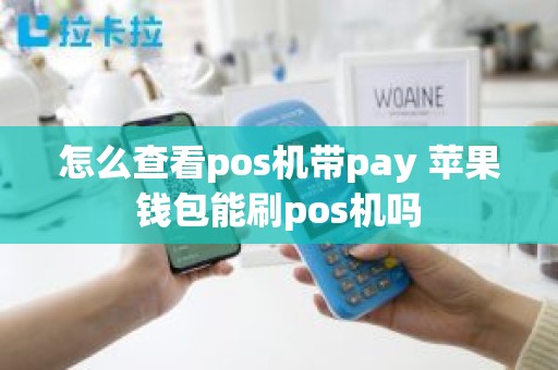 怎么查看pos机带pay 苹果钱包能刷pos机吗