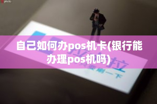 自己如何办pos机卡(银行能办理pos机吗)