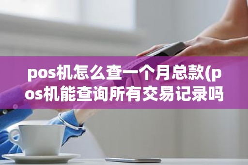 pos机怎么查一个月总款(pos机能查询所有交易记录吗)