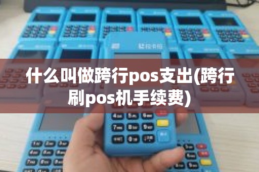 什么叫做跨行pos支出(跨行刷pos机手续费)