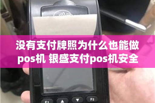 没有支付牌照为什么也能做pos机 银盛支付pos机安全吗