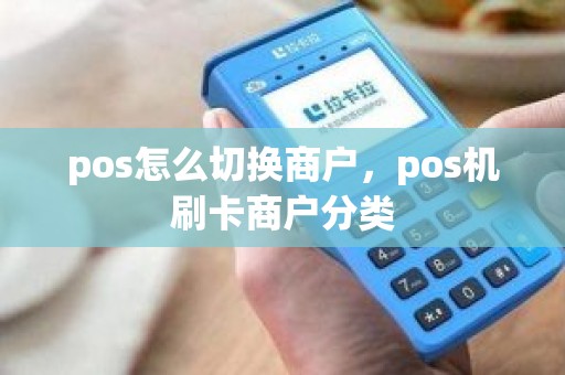 pos怎么切换商户，pos机刷卡商户分类